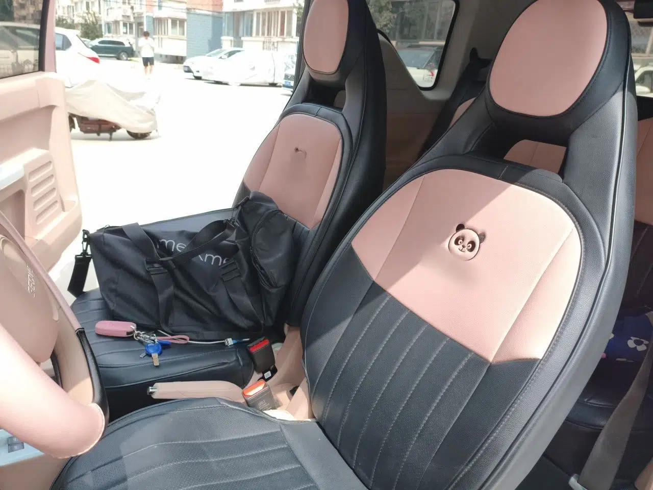 Geely Galaxy Panda 2024 Panda Mini 200km Endurance Bear — миниатюра 15
