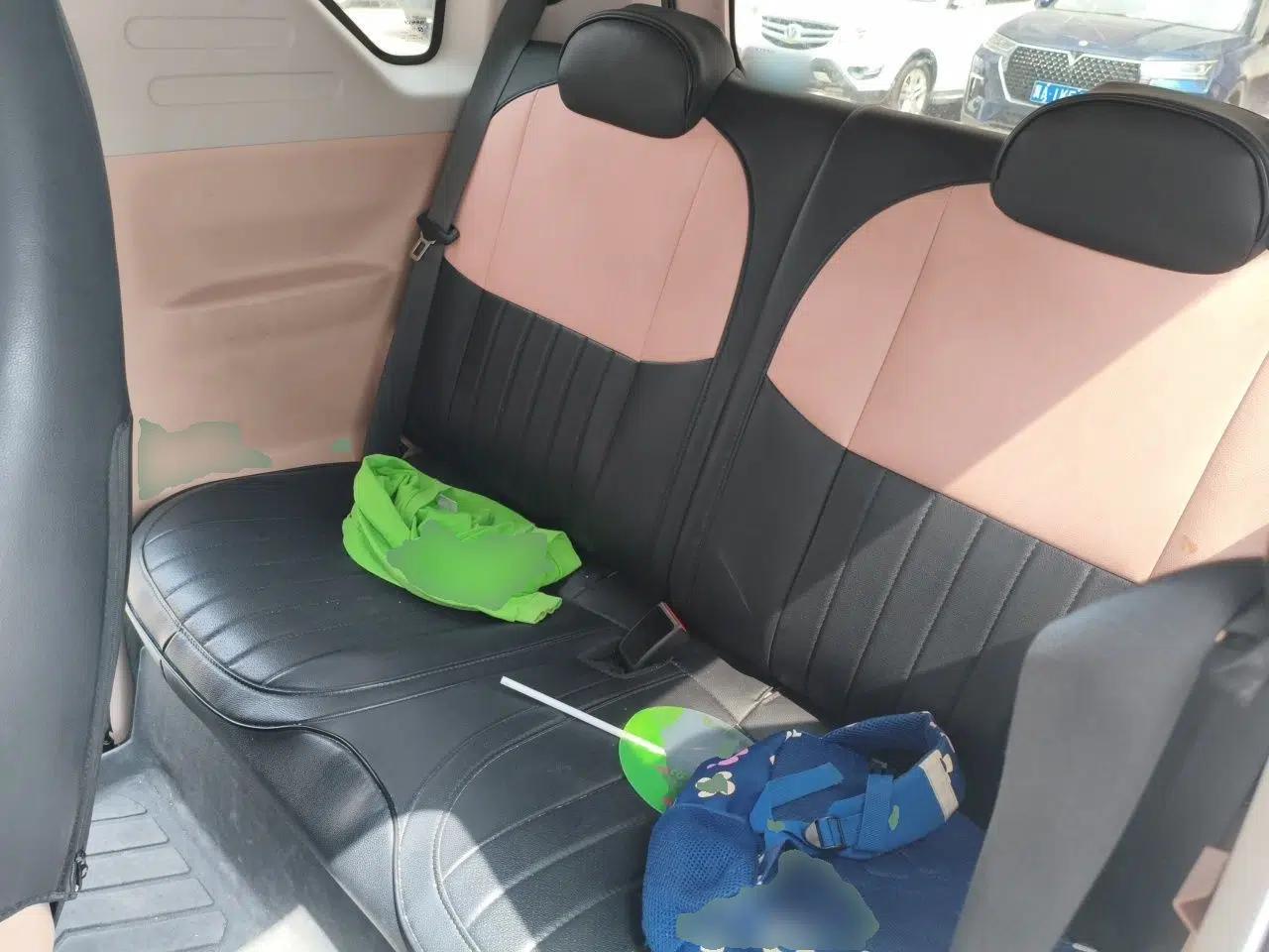 Geely Galaxy Panda 2024 Panda Mini 200km Endurance Bear — миниатюра 17