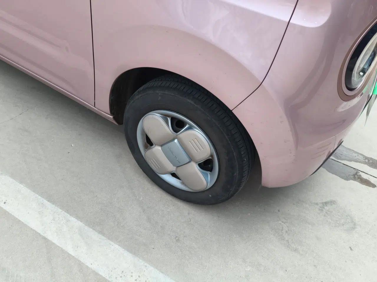 Geely Galaxy Panda 2024 Panda Mini 200km Endurance Bear — миниатюра 8