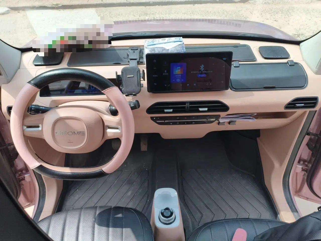 Geely Galaxy Panda 2024 Panda Mini 200km Endurance Bear — миниатюра 9