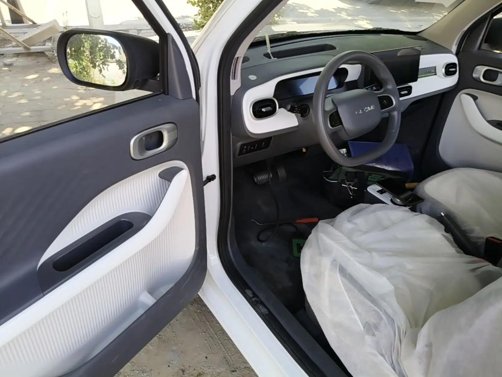 Geely Galaxy Panda 2025 210 km – Yuanqi Bear — миниатюра 23