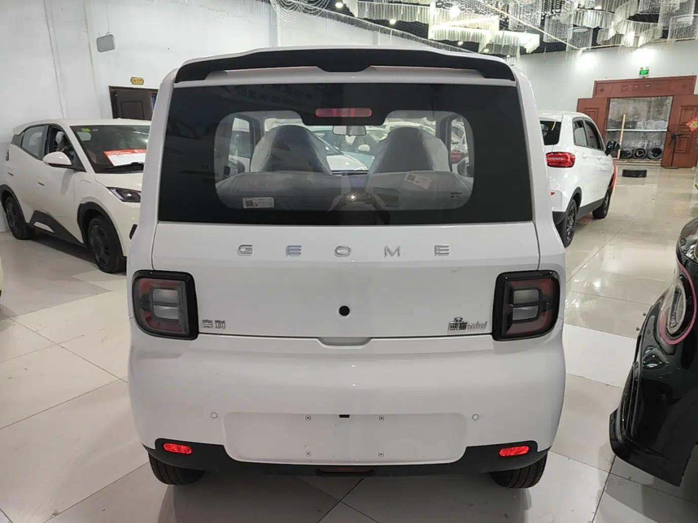 Geely Galaxy Panda 2025 210 km – Yuanqi Bear — миниатюра 5