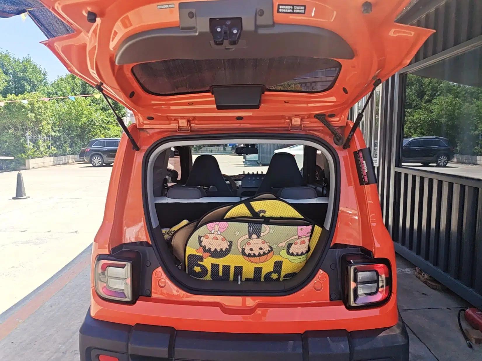 Geely Galaxy Panda 2024 200km Panda Rider — миниатюра 22