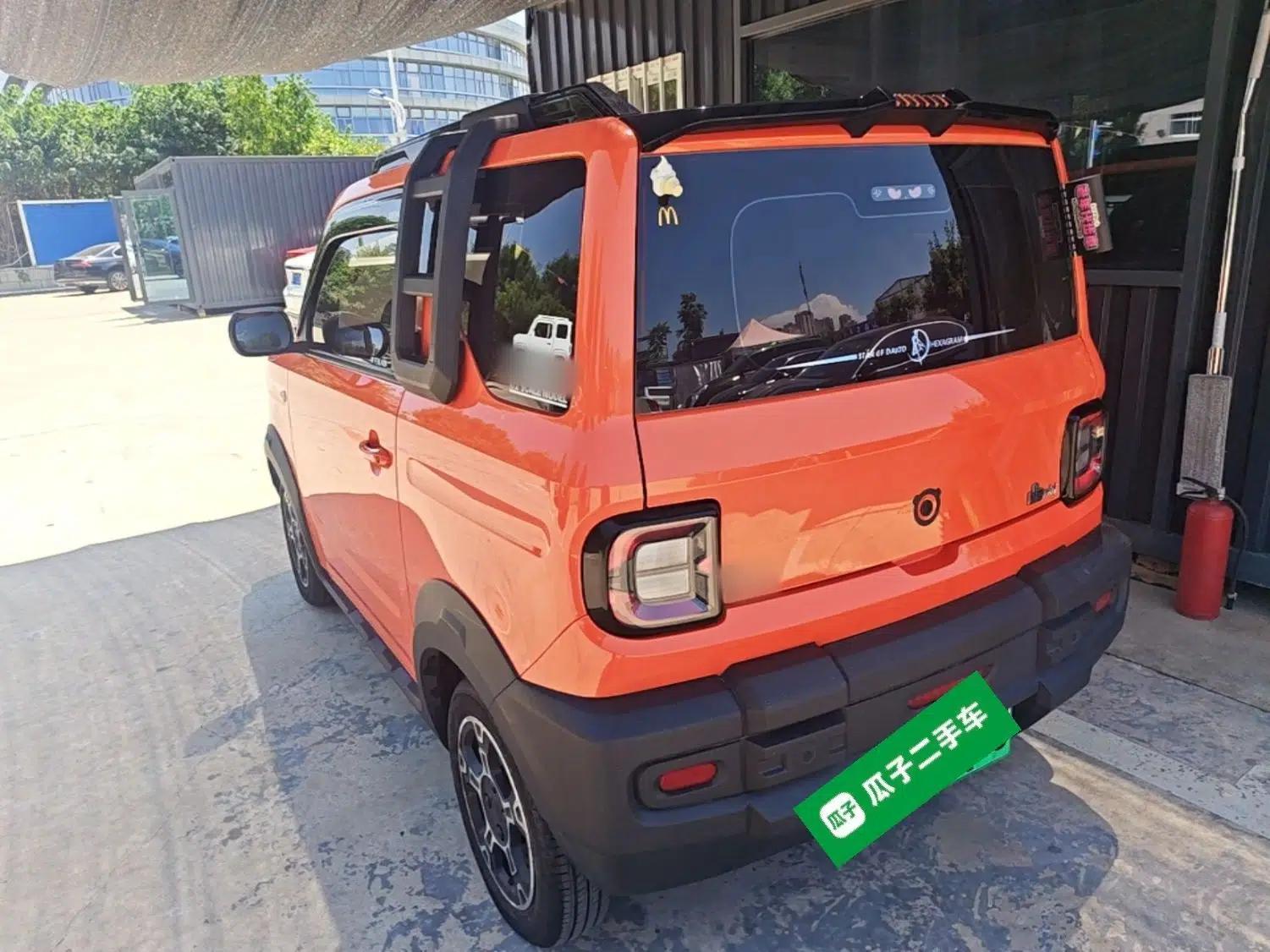 Geely Galaxy Panda 2024 200km Panda Rider — миниатюра 4