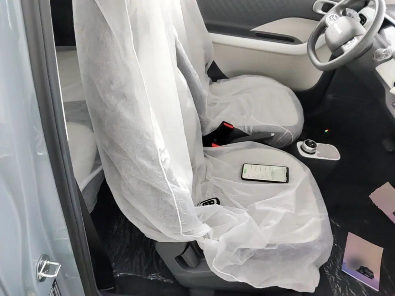 Geely Galaxy Panda 2025 210km Panda Kart — миниатюра 19