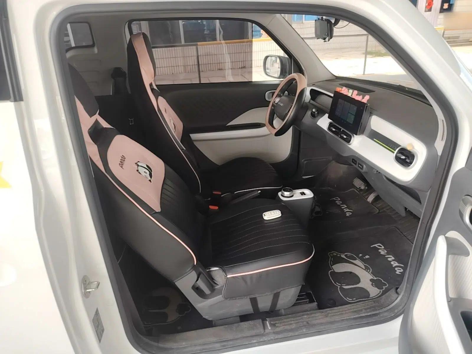 Geely Galaxy Panda 2025 210 km – Yuanqi Bear — миниатюра 24