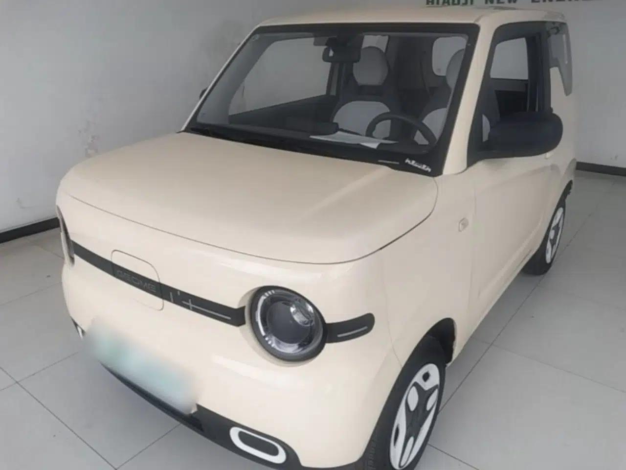 Geely Galaxy Panda 2025 210 km – Yuanqi Bear — миниатюра 1