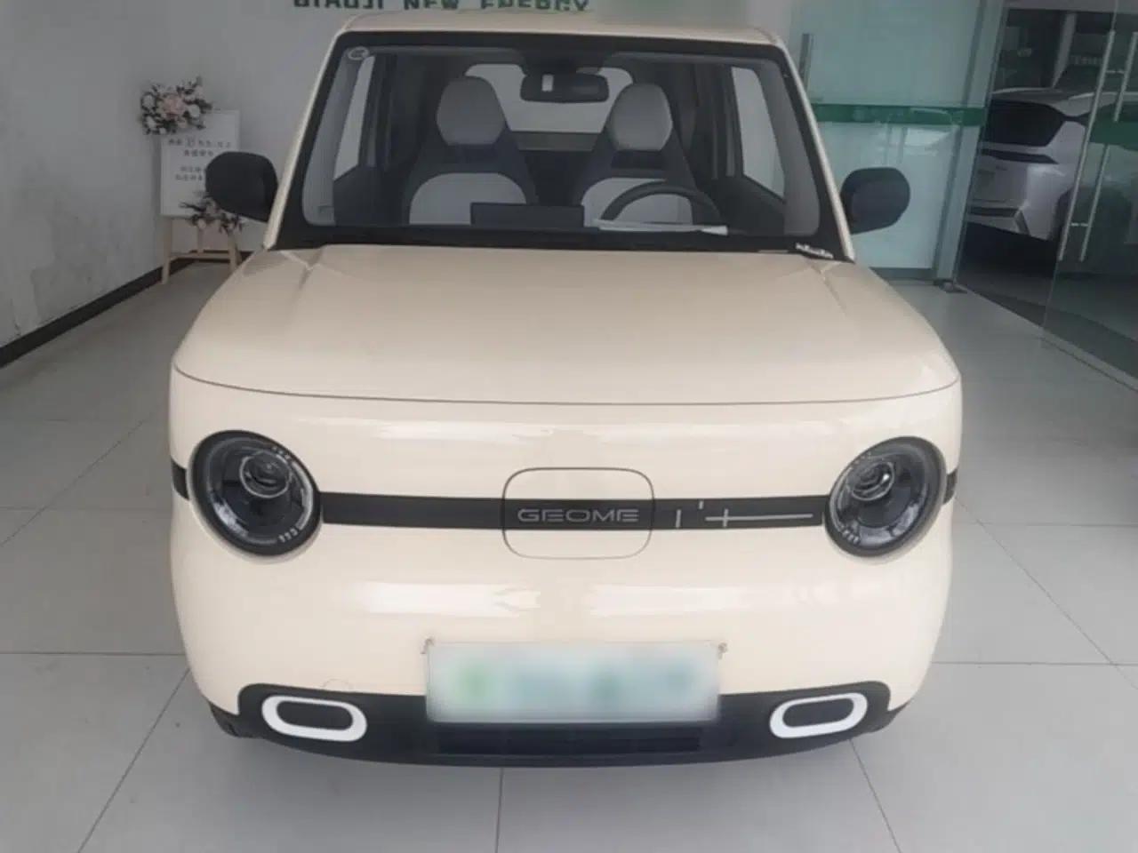 Geely Galaxy Panda 2025 210 km – Yuanqi Bear — миниатюра 2