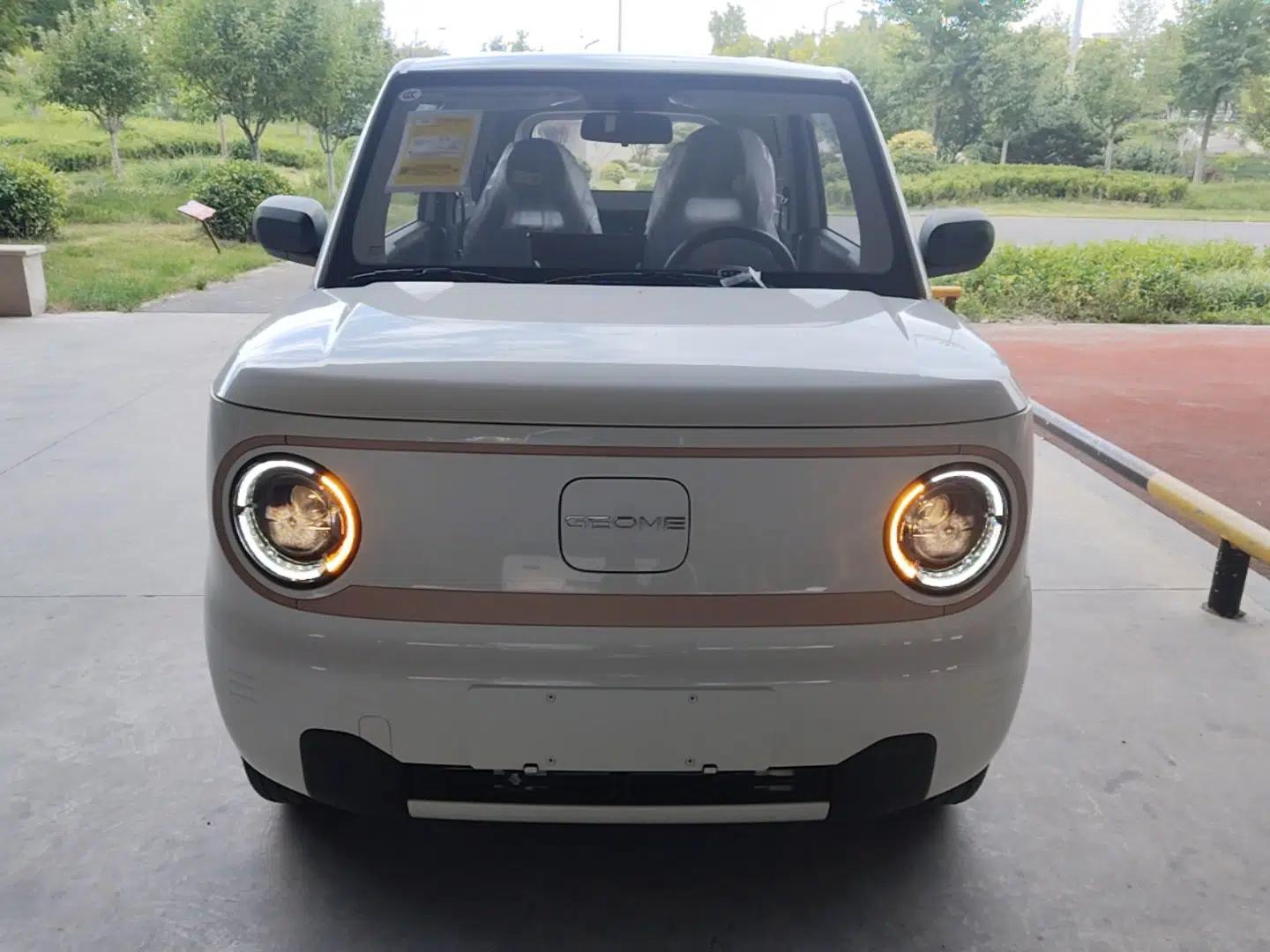 Geely Galaxy Panda 2024 Panda Mini 200km Endurance Bear — миниатюра 2