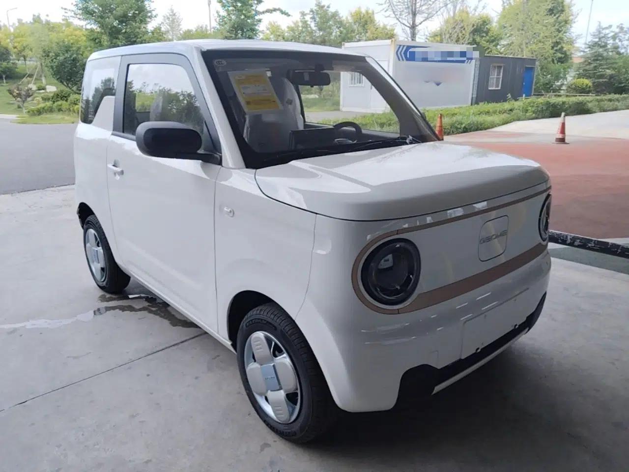 Geely Galaxy Panda 2024 Panda Mini 200km Endurance Bear — миниатюра 3