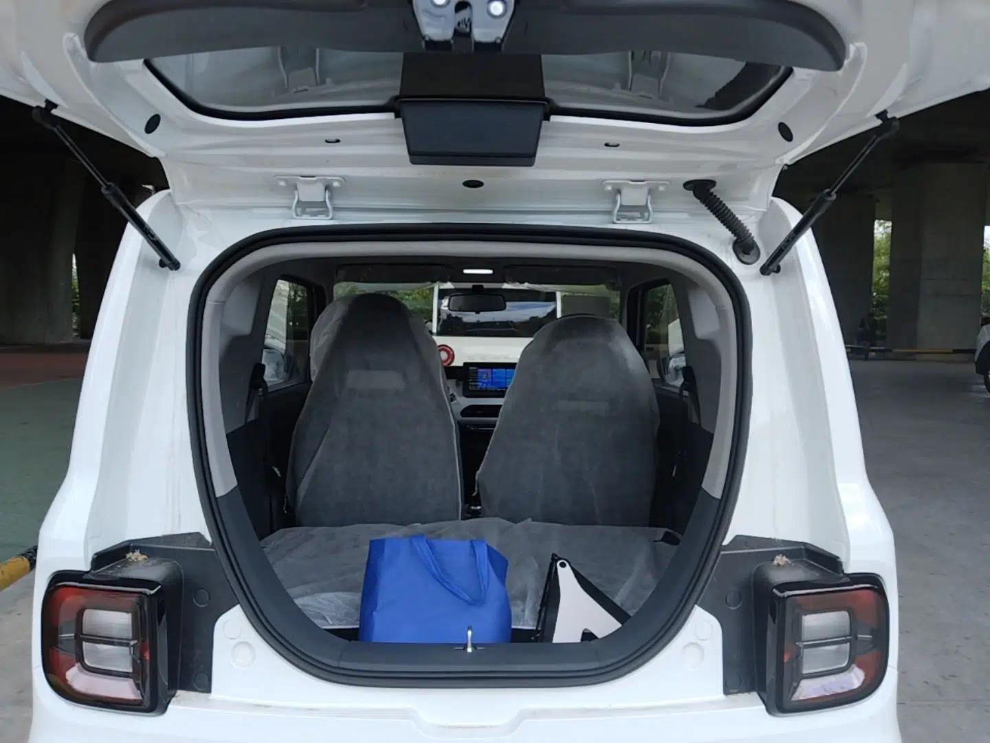 Geely Galaxy Panda 2024 Panda Mini 200km Endurance Bear — миниатюра 22