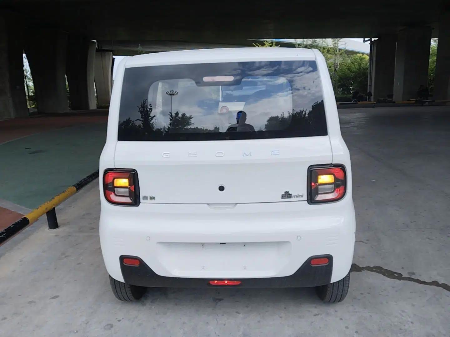 Geely Galaxy Panda 2024 Panda Mini 200km Endurance Bear — миниатюра 5