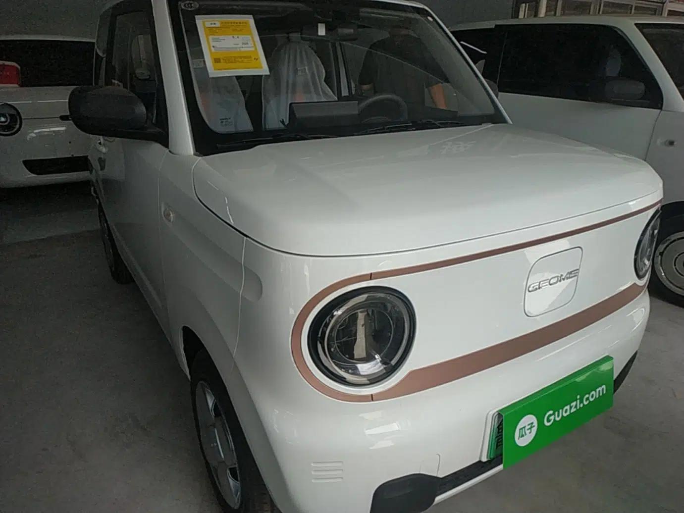 Geely Galaxy Panda 2024 Panda Mini 200km Endurance Bear — миниатюра 3