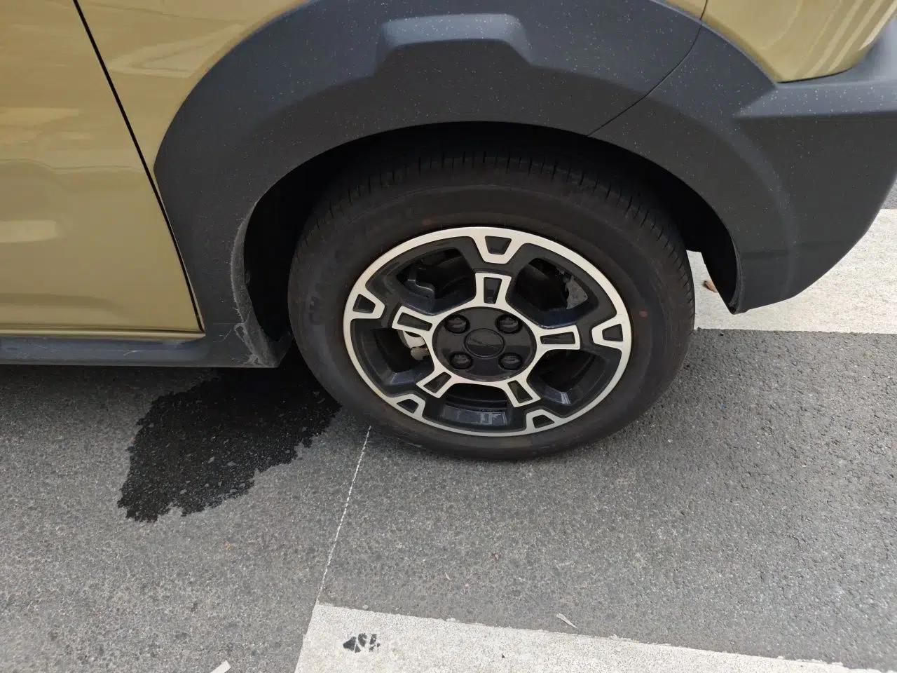 Geely Galaxy Panda 2025 210km Panda Rider — миниатюра 8