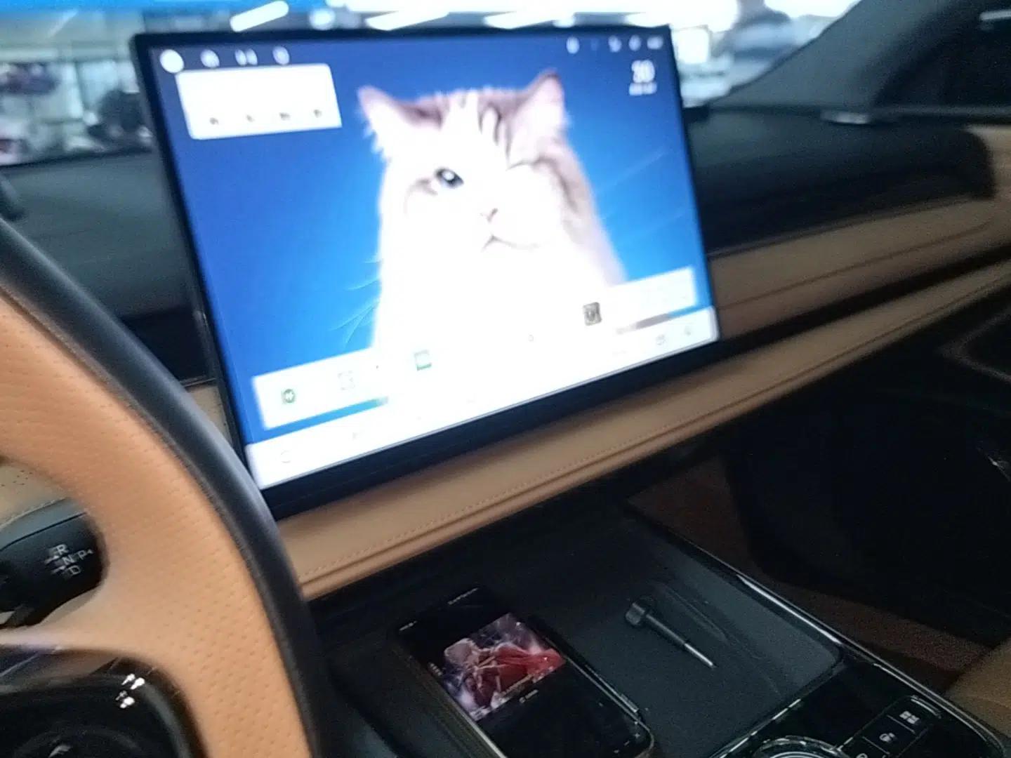 Geely Galaxy 8 2025 130km EM-P Starship Edition — миниатюра 15
