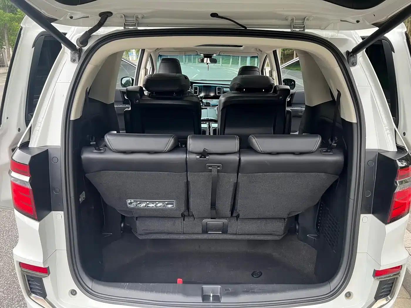 Elysion 2019 2.0L Hybrid Luxury Edition — миниатюра 15