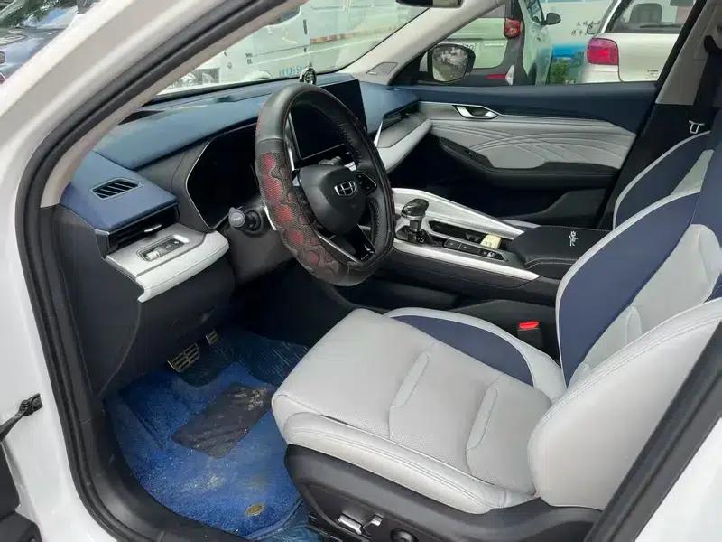 Xingrui 2020 2.0T Premium Edition — миниатюра 12
