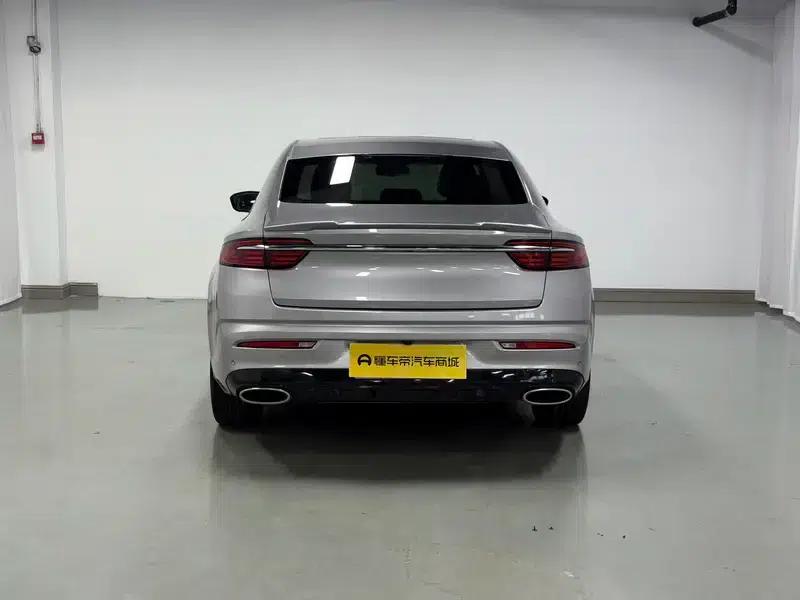 Xingrui 2020 2.0T Premium Edition — миниатюра 6