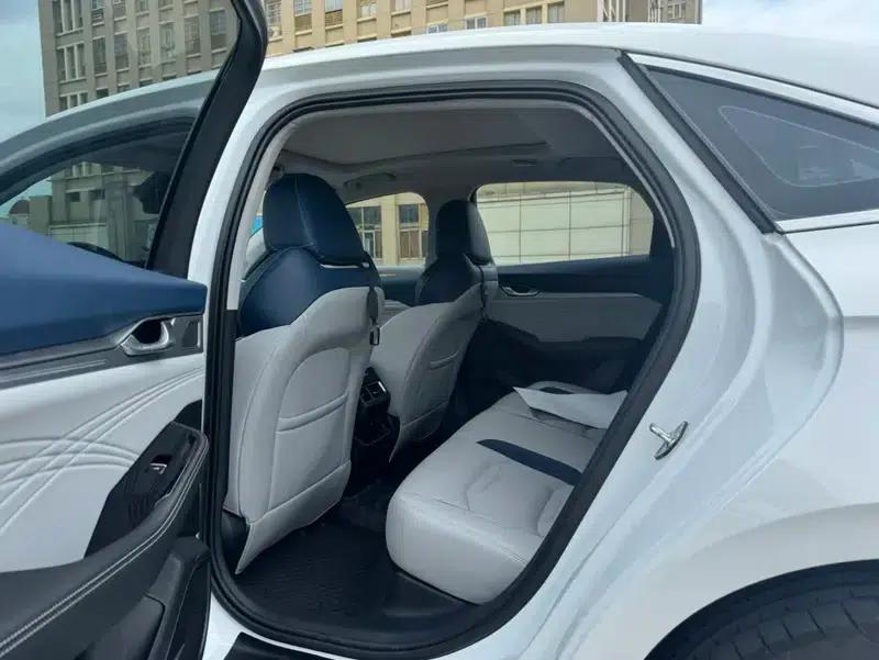 Xingrui 2020 2.0T Luxury Edition — миниатюра 18