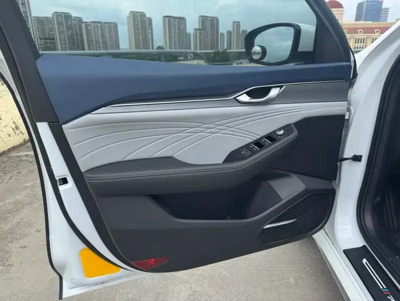 Xingrui 2020 2.0T Luxury Edition — миниатюра 10