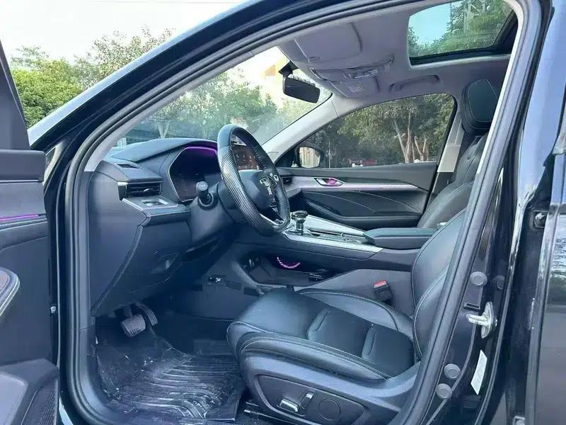 Xingrui 2020 2.0T Luxury Edition — миниатюра 8
