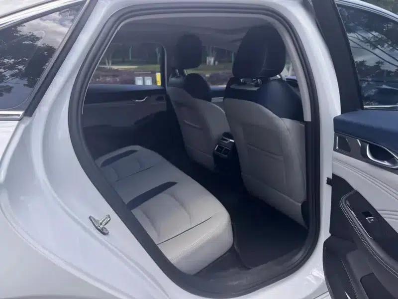 Xingrui 2023 2.0T Luxury Edition — миниатюра 11
