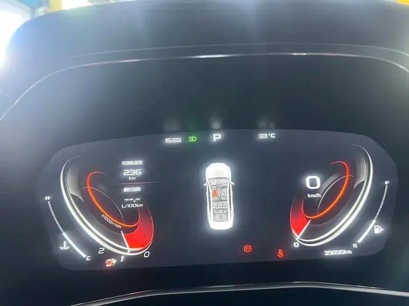 Xingrui 2020 2.0T Luxury Edition — миниатюра 23