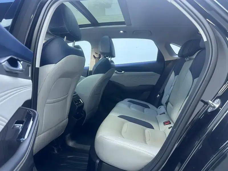 Xingrui 2020 2.0T Luxury Edition — миниатюра 26