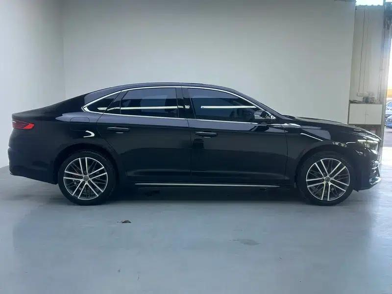 Xingrui 2020 2.0T Luxury Edition — миниатюра 8