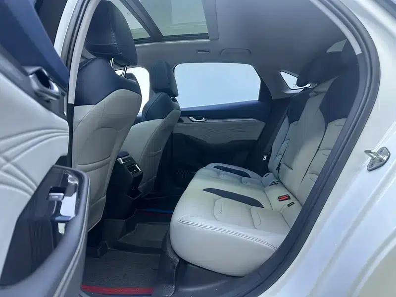 Xingrui 2021 2.0T Premium Edition — миниатюра 24