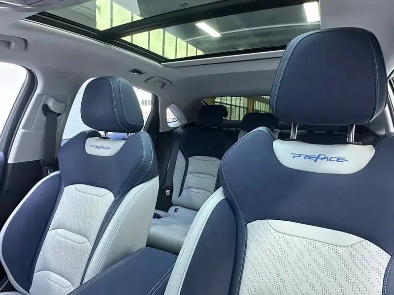 Xingrui 2021 2.0T Premium Edition — миниатюра 26