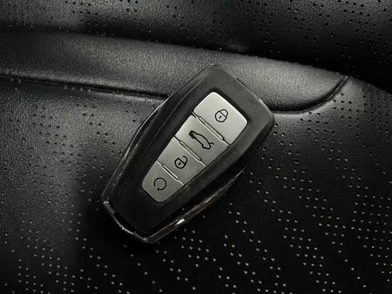 Xingrui 2020 2.0T Luxury Edition — миниатюра 11