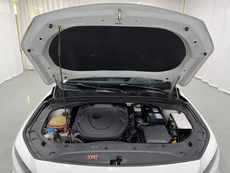 Xingrui 2020 2.0T Luxury Edition — миниатюра 10