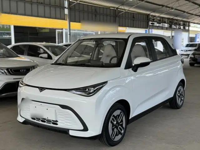 Cowin October 2025 Mate 300km Surfing Edition