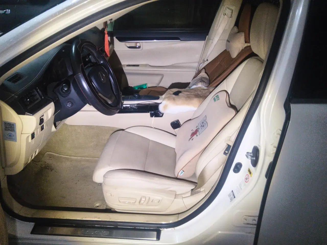 Lexus ES 2014 250 Elite Edition — миниатюра 15