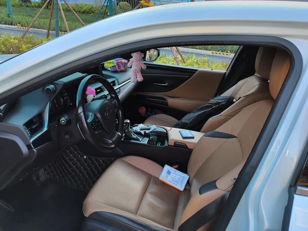 Lexus ES 2018 200 Excellence Edition China V Standard — миниатюра 15