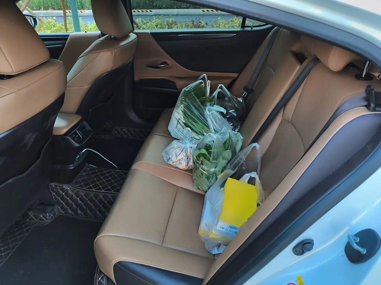 Lexus ES 2018 200 Excellence Edition China V Standard — миниатюра 17