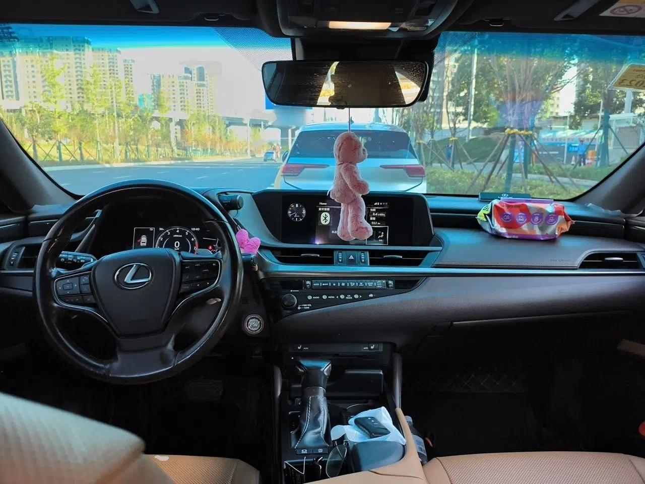 Lexus ES 2018 200 Excellence Edition China V Standard — миниатюра 9