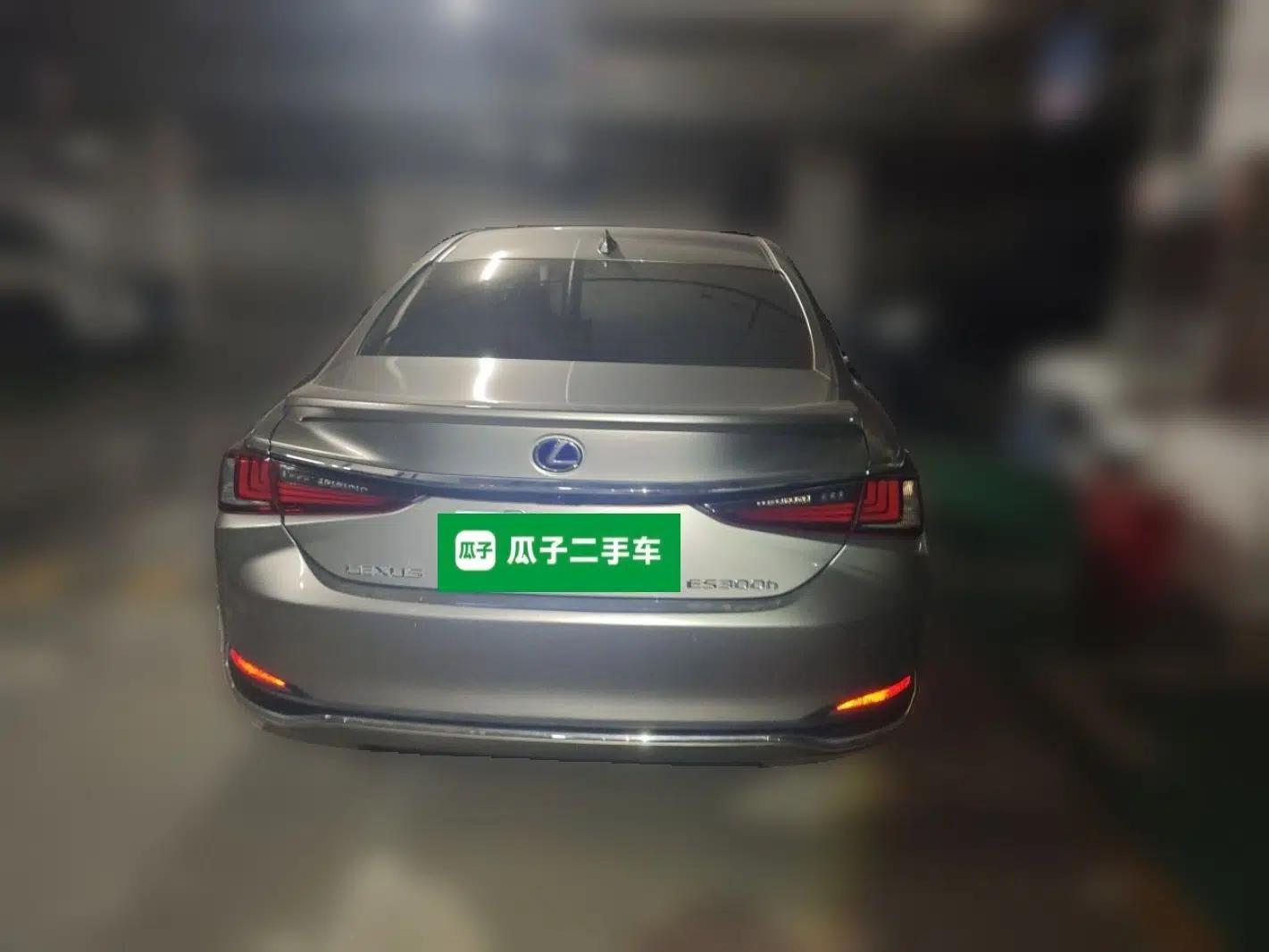 Lexus ES 2018 300h Premier Edition China V Standard — миниатюра 5