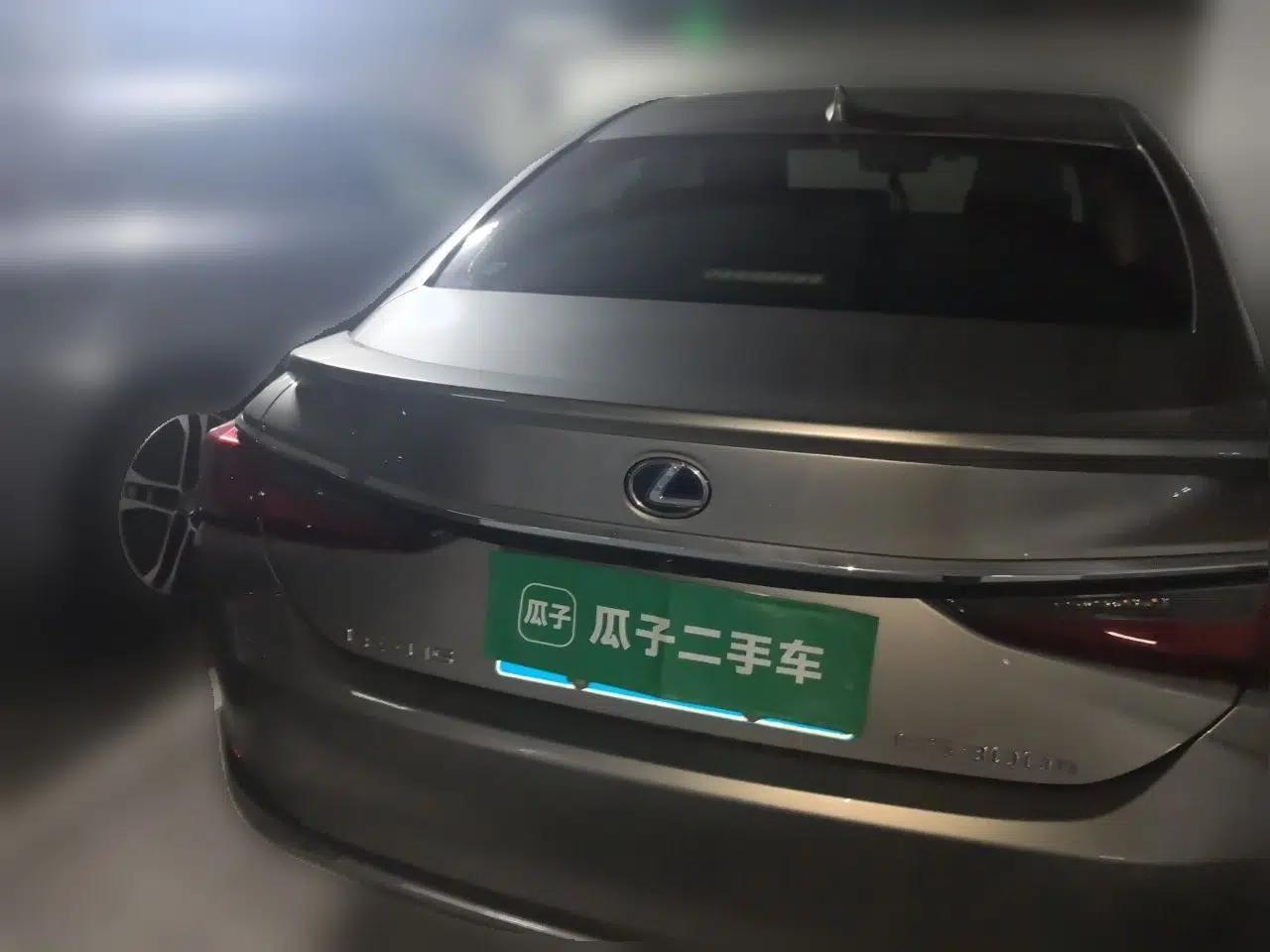 Lexus ES 2018 300h Premier Edition China VI Standard — миниатюра 5