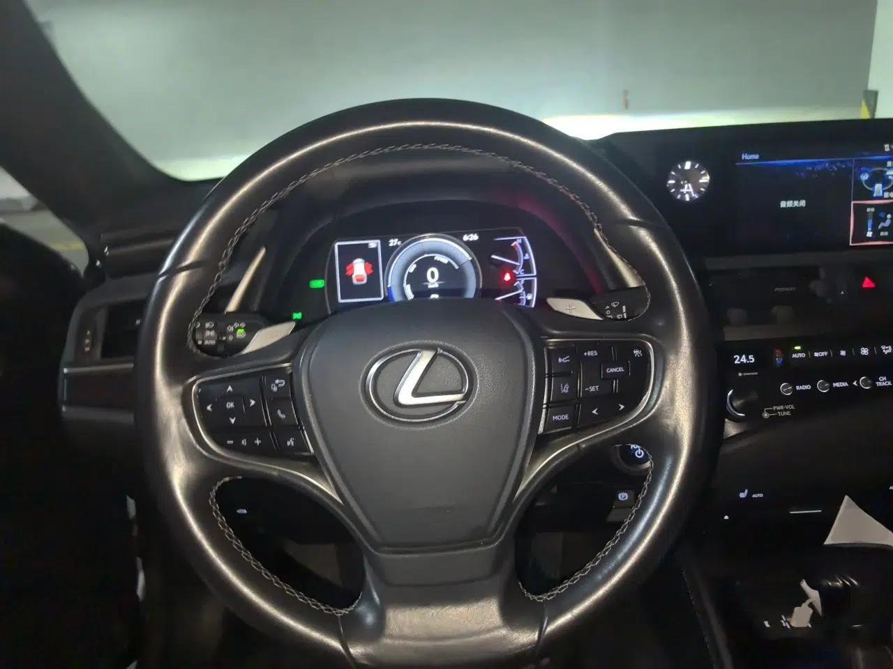 Lexus ES 2018 300h Premier Edition China VI Standard — миниатюра 10