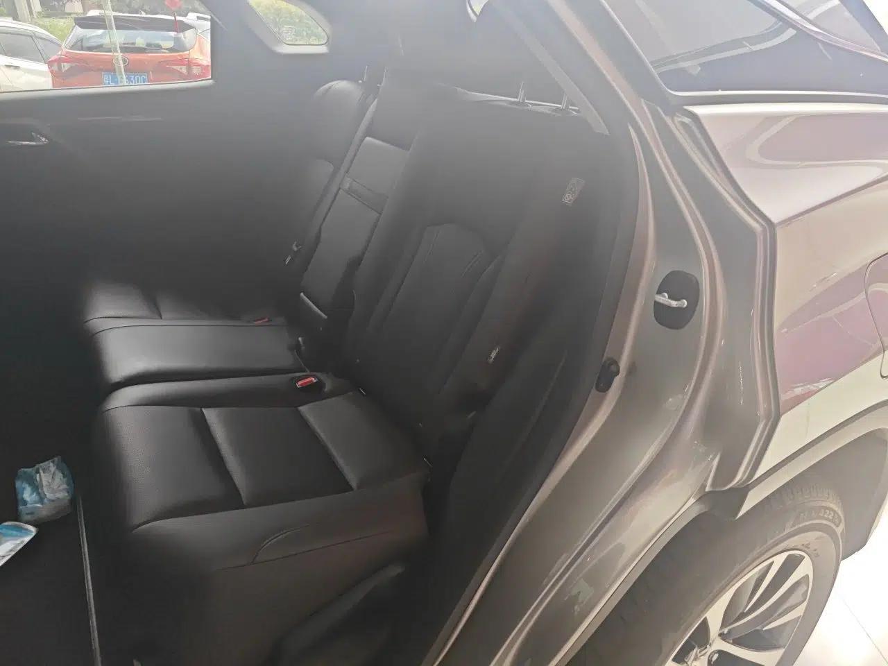 Lexus RX 2020 Revised Version 300 Two-Wheel Drive Comfort Edition — миниатюра 17