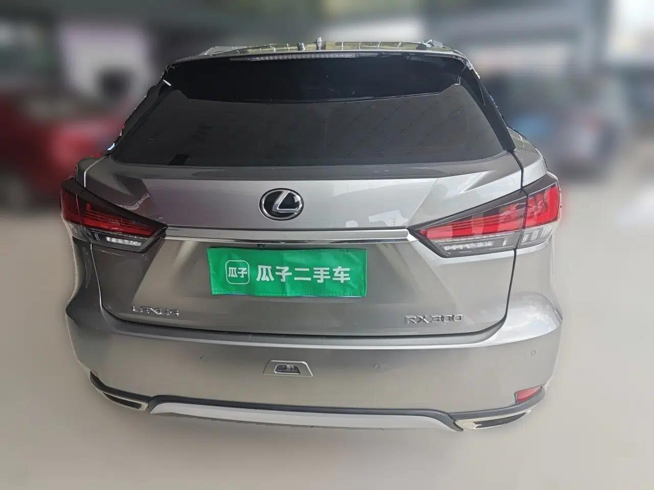 Lexus RX 2020 Revised Version 300 Two-Wheel Drive Comfort Edition — миниатюра 5
