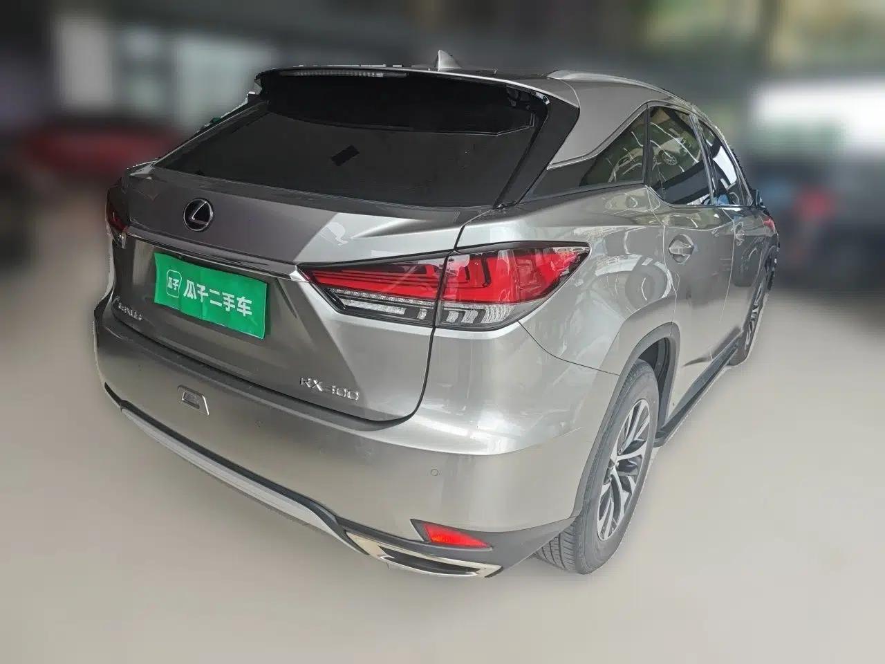 Lexus RX 2020 Revised Version 300 Two-Wheel Drive Comfort Edition — миниатюра 6