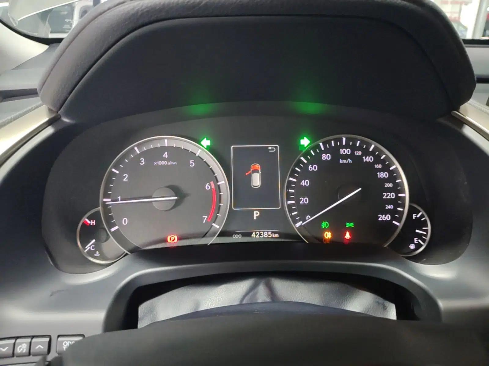 Lexus RX 2020 Revised Version 300 Two-Wheel Drive Elite Edition — миниатюра 14