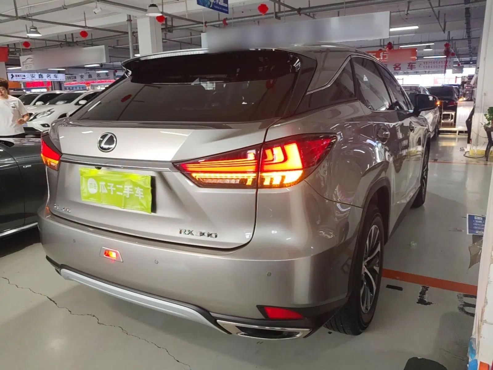 Lexus RX 2020 Revised Version 300 Two-Wheel Drive Elite Edition — миниатюра 6