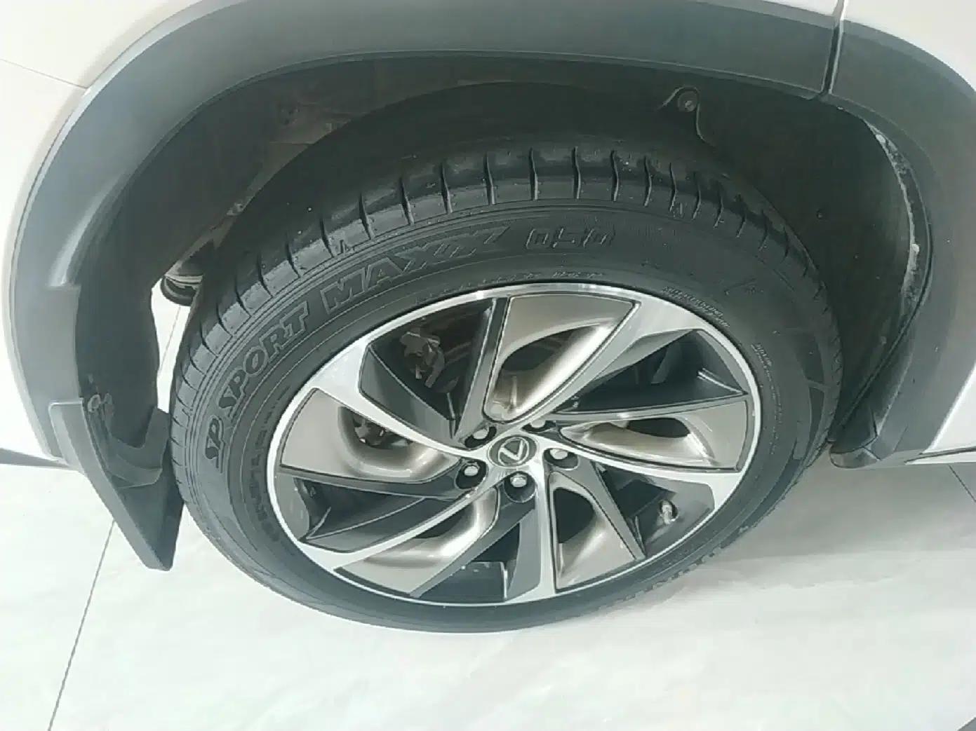 Lexus RX 2016 300 4x4 Elegant Edition China VI — миниатюра 11