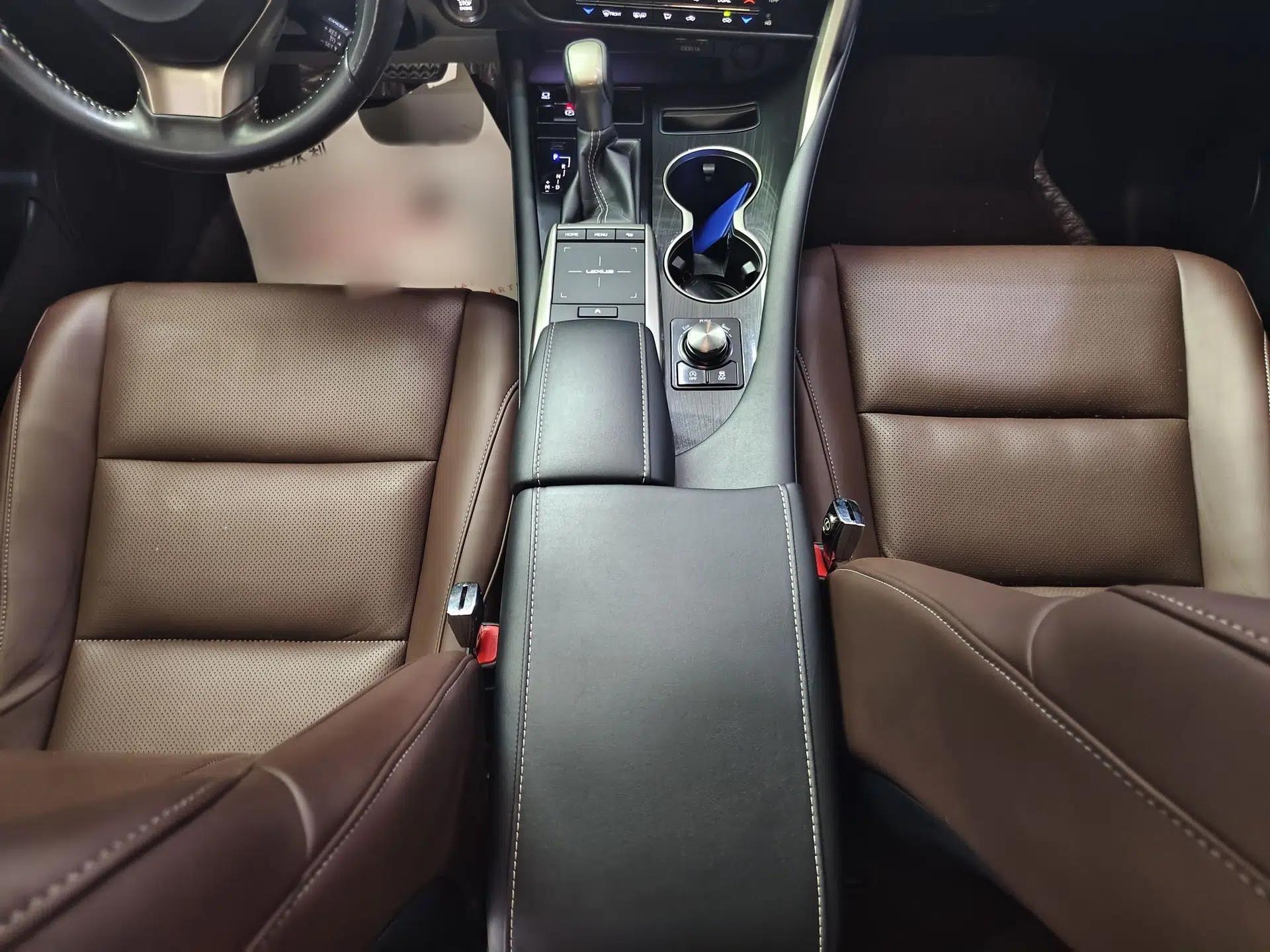 Lexus RX 2020 Revised Version 300 Two-Wheel Drive Elite Edition — миниатюра 12