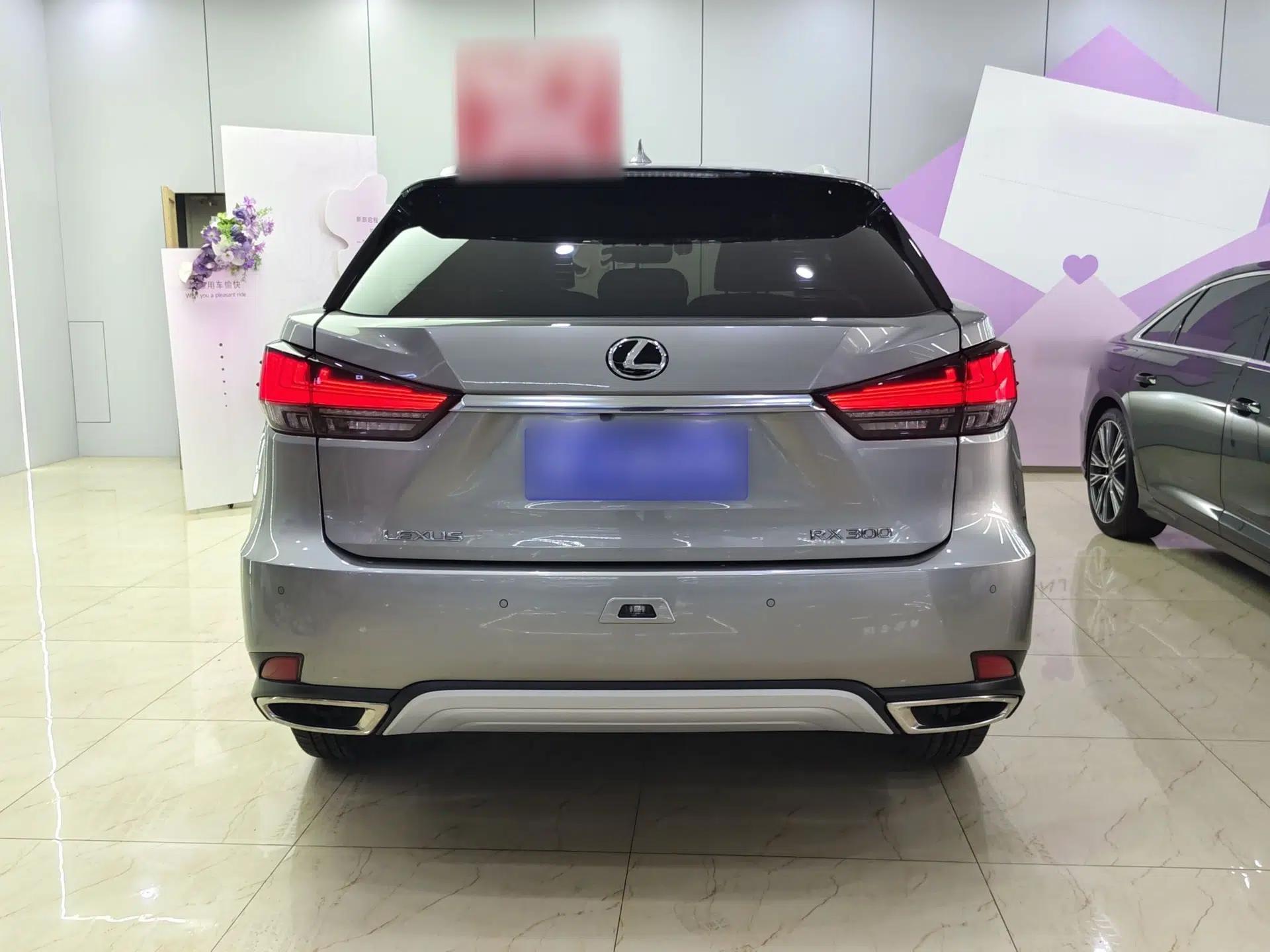 Lexus RX 2020 Revised Version 300 Two-Wheel Drive Elite Edition — миниатюра 15
