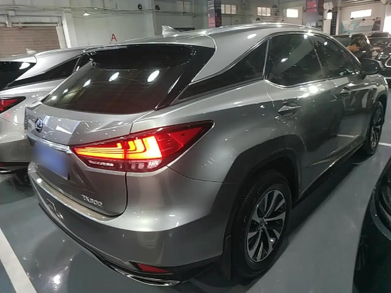 Lexus RX 2020 Revised Version 300 Two-Wheel Drive Elite Edition — миниатюра 6